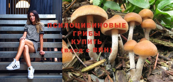 таблы Алзамай