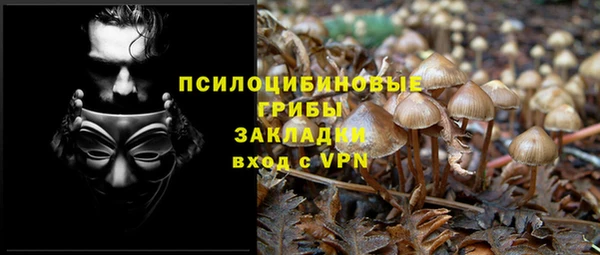 скорость Саяногорск