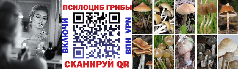 Галлюциногенные грибы мицелий  кракен   Ивдель  где продают наркотики 